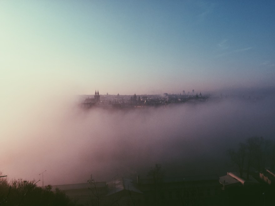 Processed with VSCO with p5 preset